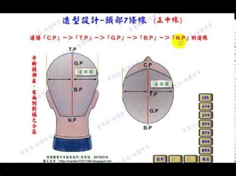 頭部七條基準線|花魚工坊Butyfor